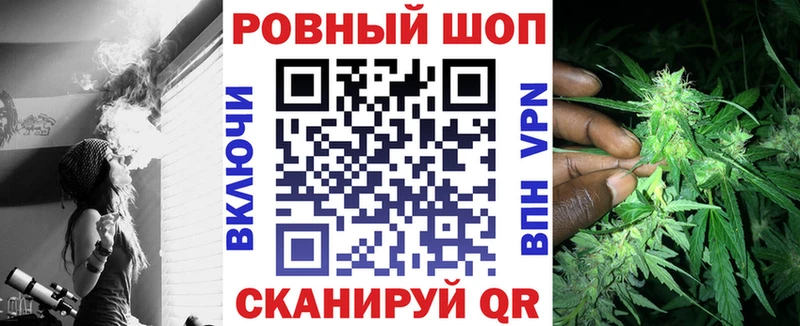 Где купить наркотики Шенкурск Псилоцибиновые грибы АМФ ГАШИШ Меф A PVP
