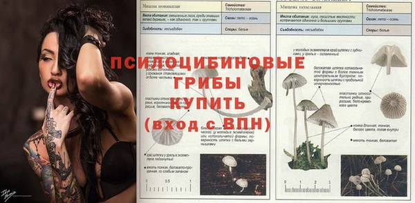 эйфоретик Абдулино