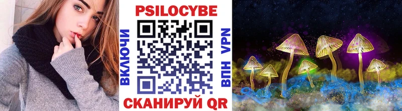 Галлюциногенные грибы Psilocybine cubensis площадка наркотические препараты Шенкурск